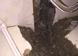 肇州卫生间测漏水哪家好