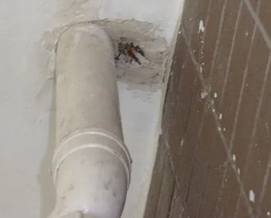 肇州漏水检测哪家好